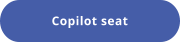 Copilot seat